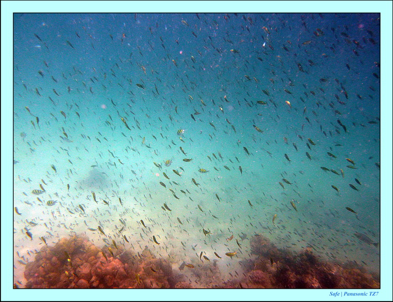 2011 - 03 - Koh Kradan 058